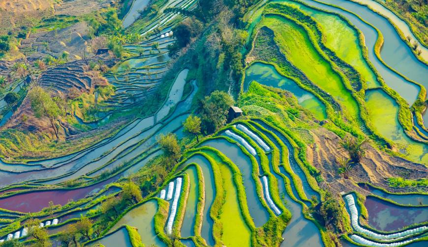 宝妈必备神器：龙川县产品视频拍摄轻松育儿好帮手