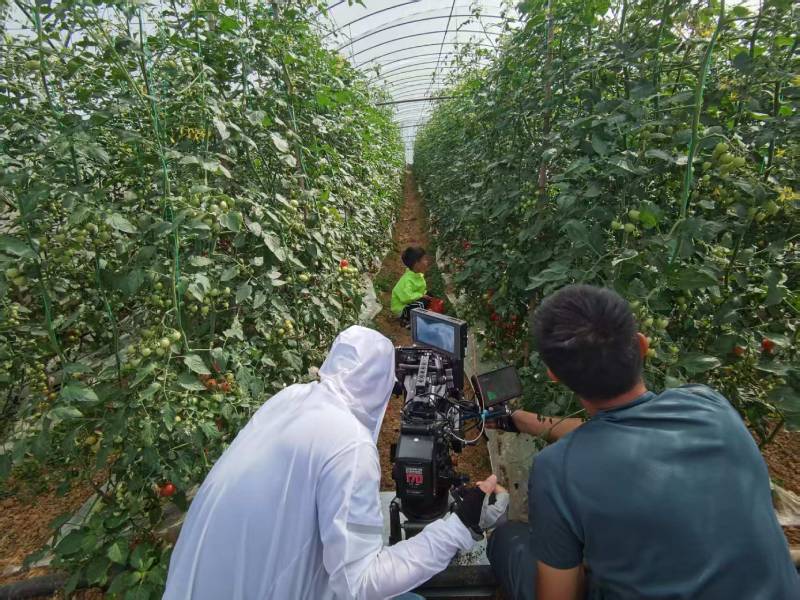 龙川县产品宣传视频拍摄公司进阶指南，助力品牌抢占传播高地